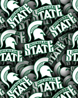 Michigan State University 23