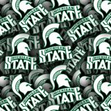 Michigan-State-University-23.jpg