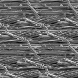 Micro-Fibers.jpg