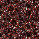 Milk-Snake-Nest.jpg