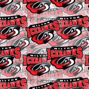 Milton Icehawks