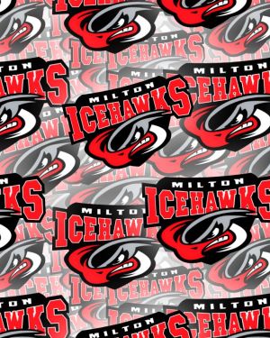 Milton Icehawks