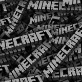 Minecraft-23.jpg