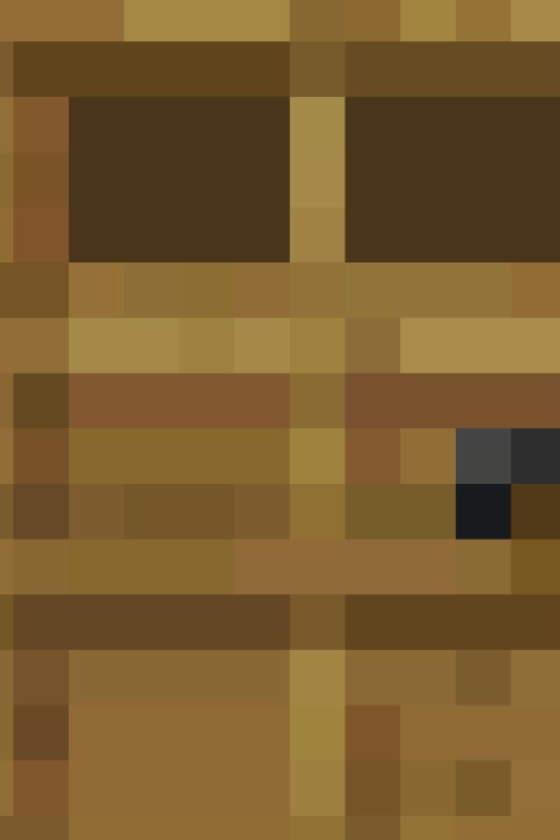Minecraft Door
