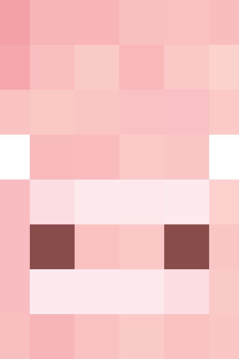 Minecraft Pig Head
