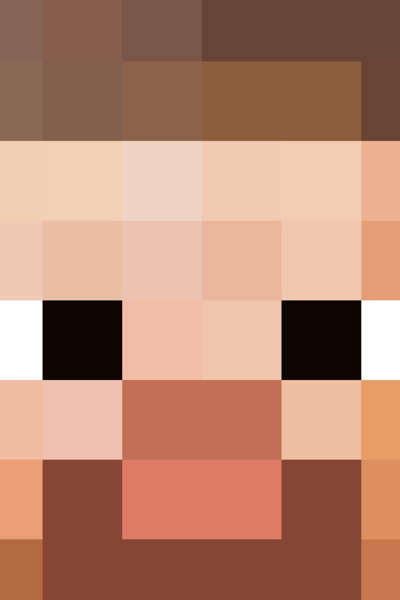 Minecraft Steve Head