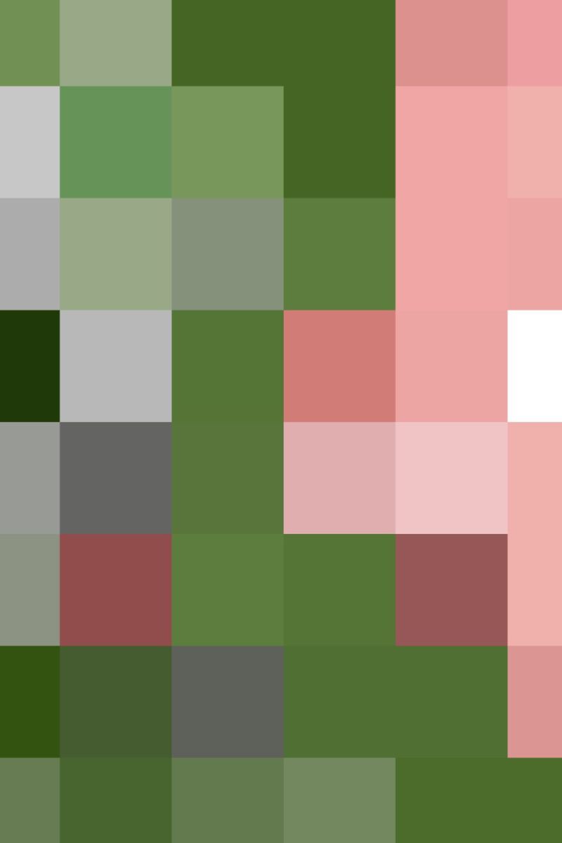 Minecraft Zombie Pigman Head