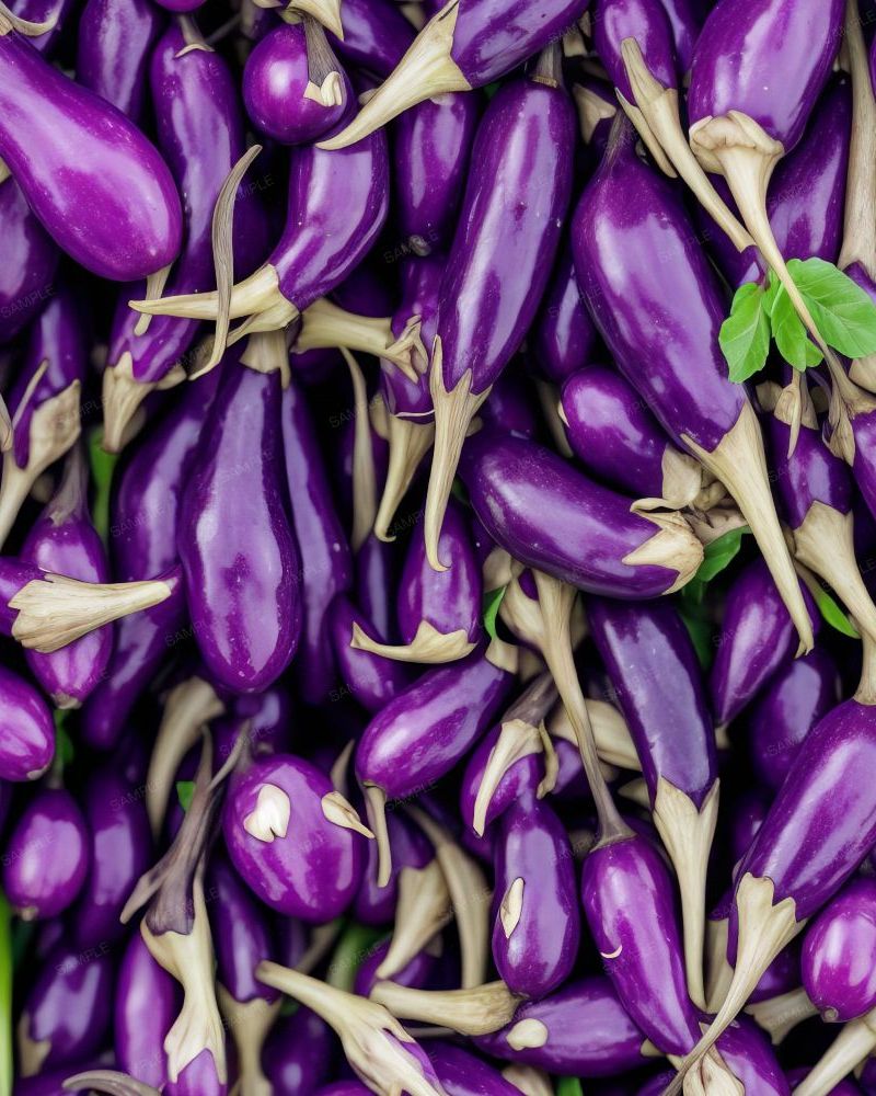 Mini Eggplants