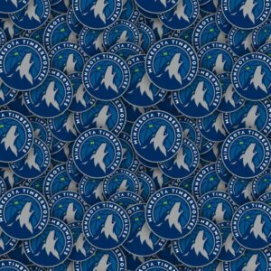 Minnesota Timberwolves 22