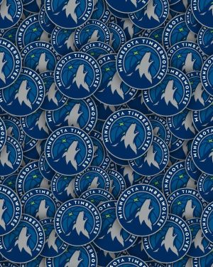 Minnesota Timberwolves 22