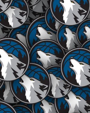 Minnesota Timberwolves 23