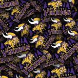 Minnesota-Vikings-22-thumb.jpg