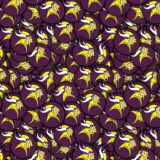 Minnesota-Vikings-23.jpg