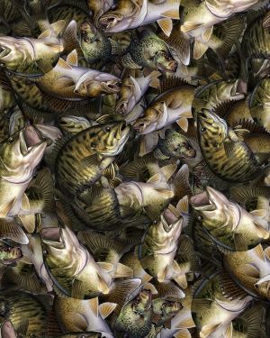 Mixed Fish Camouflage