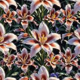 Mixed-Iris-Flowers-42.jpg