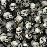 Money-Skulls-22.jpg