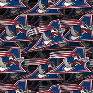 Montreal Alouettes 22