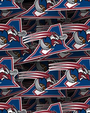 Montreal Alouettes 22