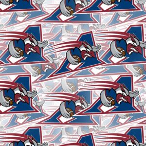 Montreal Alouettes 23