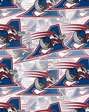 Montreal Alouettes 23