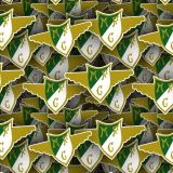Moreirense.jpg
