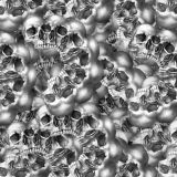 Morphing-Skulls.jpg