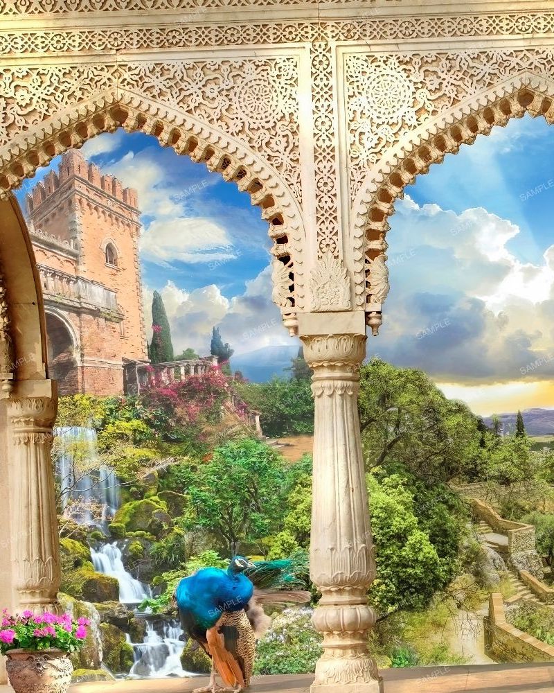 Morracan Peacock Garden 44