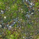 Moss-22-Camo.jpg