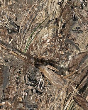Mossy Oak Duck Blind Camouflage