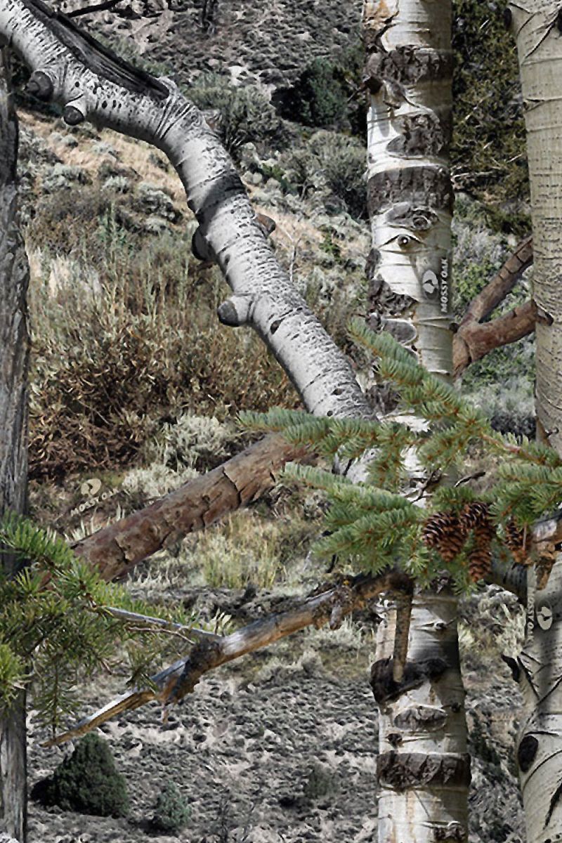Mossy Oak Mountain Country Camouflage