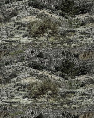 Mossy Oak Mountain Range Camouflage