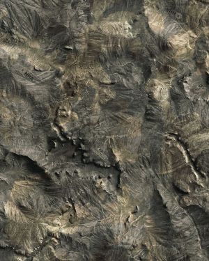Mossy Oak NRA Overwatch Camouflage