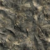 Mossy-Oak-NRA-Overwatch-Camo.jpg