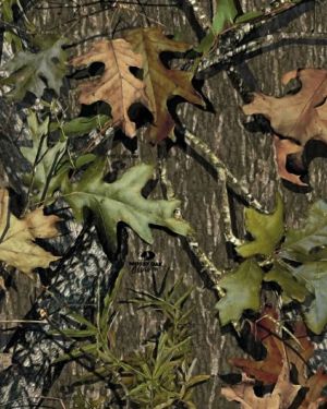 Mossy Oak Obsession First Gen Camouflage