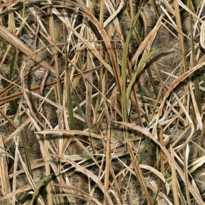 Mossy Oak Shadowgrass Blades Camouflage