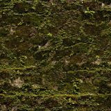 Mossy-Stone-Camo.jpg