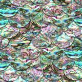 Mother-of-Pearl-Scales.jpg