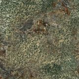 Mountain-Brushland-23.jpg