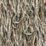 Muddy-Marsh-thumb.jpg