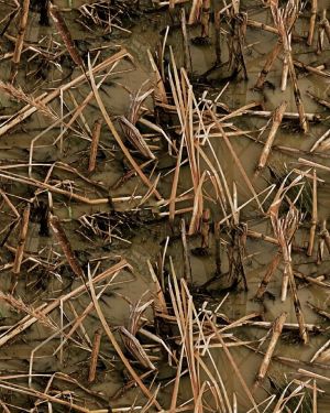 Muddy Water Flooded Camouflage
