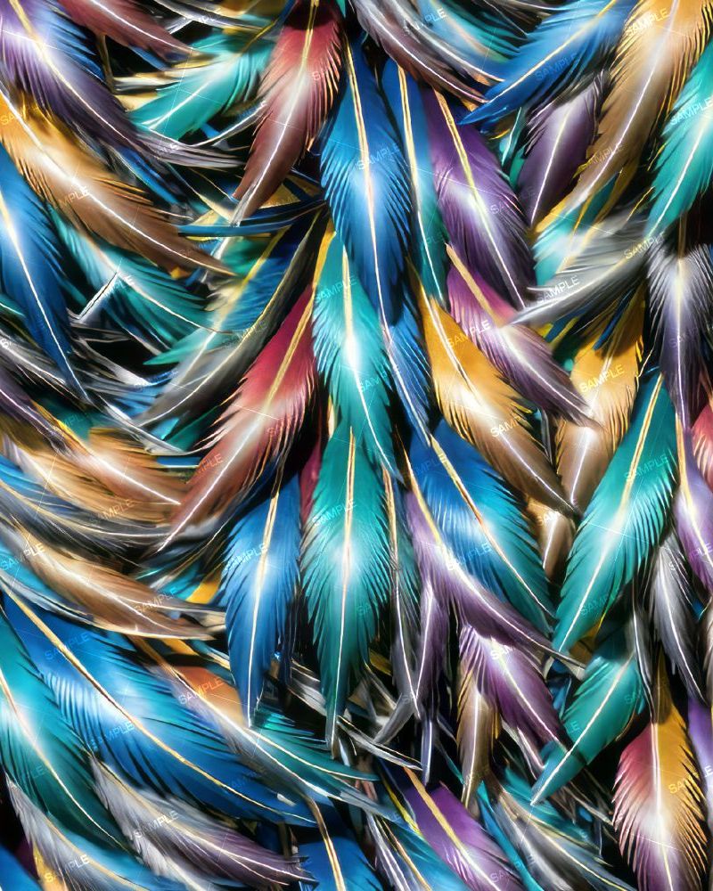 MultiColor Feathers 43