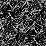 MultiDirectional-Carbon-Fiber-Cloth.jpg