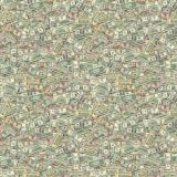 Multiple-American-Bills.jpg