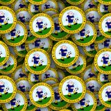 Municipal-LimeC3B1o.jpg