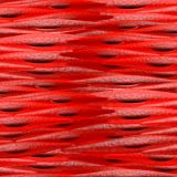 Muscle-Cells-24.jpg