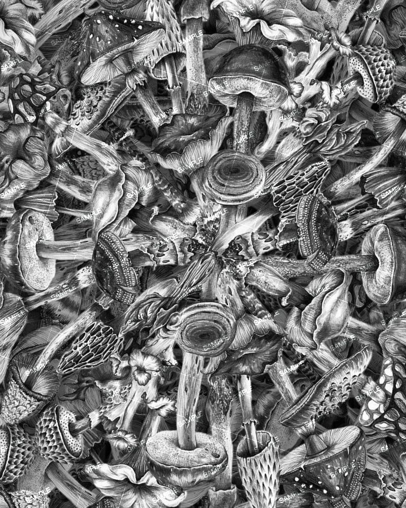 Mushroom Varieties