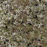 Musical-Camo-22-thumb.jpg