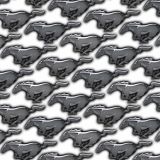 Mustangs-22.jpg