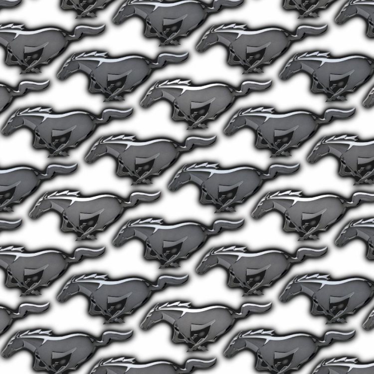 Mustangs 22