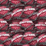 NHL-Eastern-Conference.jpg